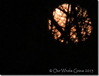 yellow moon yellow moon