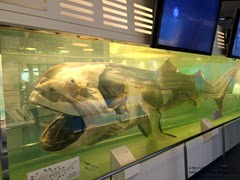 IMG_4153 IMG_4153
