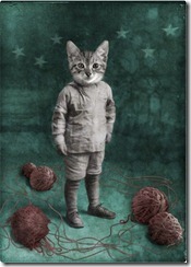 katrine k katt