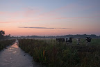 Ahrensfelder Damm after sunset