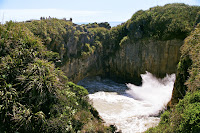 NZD2-11_JK_506.jpg