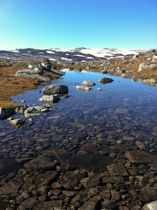 Tarn glacier