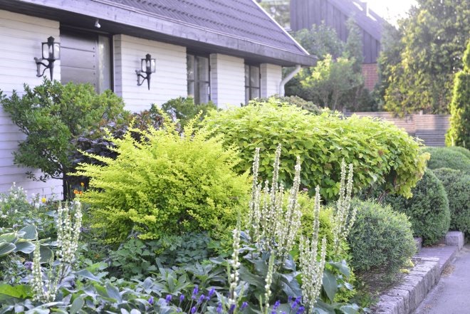 En smuk, smuk forhave claus dalby mit haveliv
