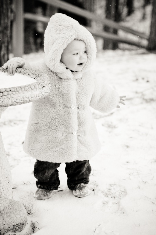 [20120211-IMG_11813.jpg]