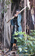 Elf Archer In Forest