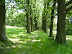 Třešť Schlosspark