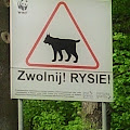 Zwolnij! No to zwalniamy.. Zdjęcie127.jpg