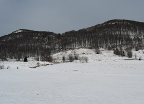 IMG_0488_resize.jpg