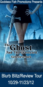 VBT The Ghost and the Graveyard Book Cover Banner copy