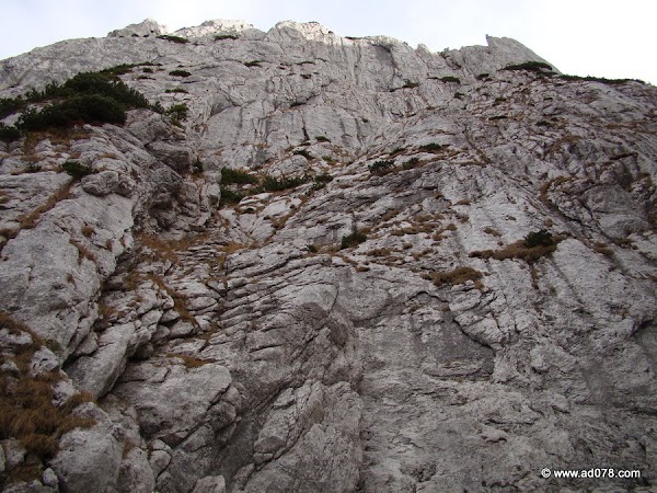cioranga ramura de sus-26.JPG