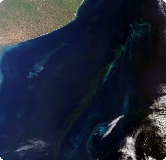 fitoplancton en el mar argentino - terra modis - 28 de noviembre de 2013 - preview