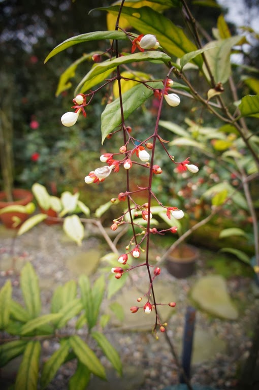 [DSC07179%255B4%255D.jpg]