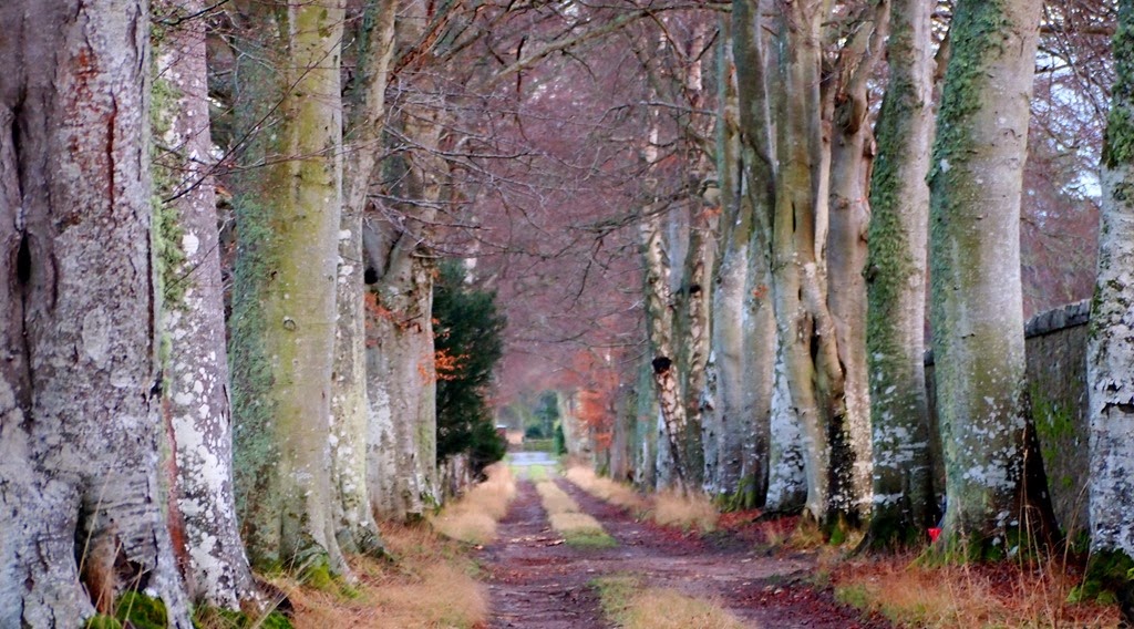 [16%2520Jan%25203%255B3%255D.jpg]