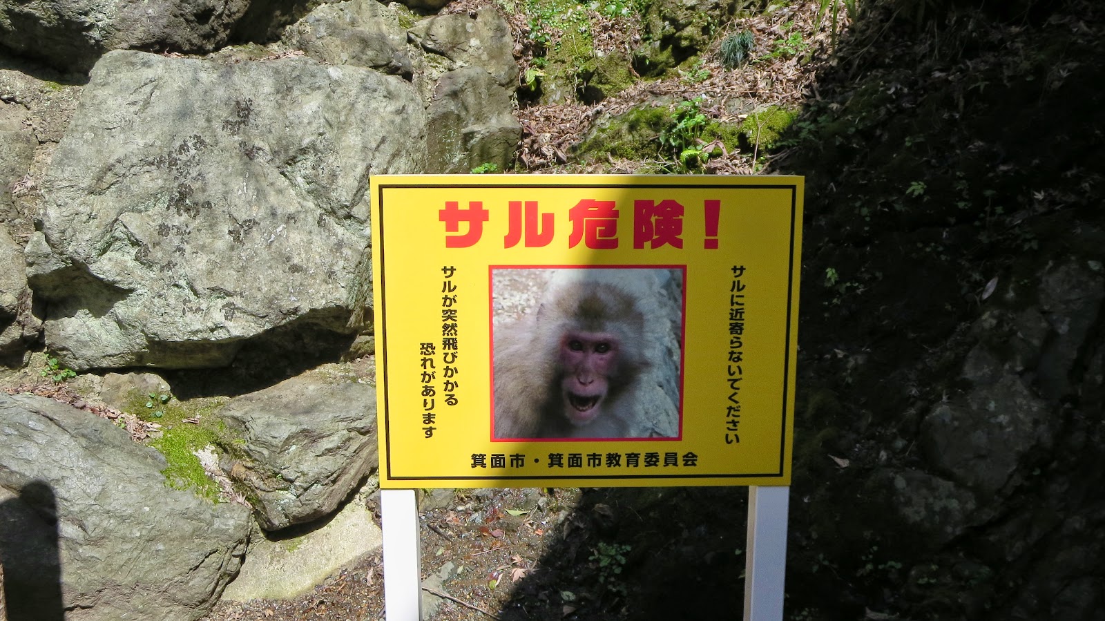 [IMG_2554%255B3%255D.jpg]