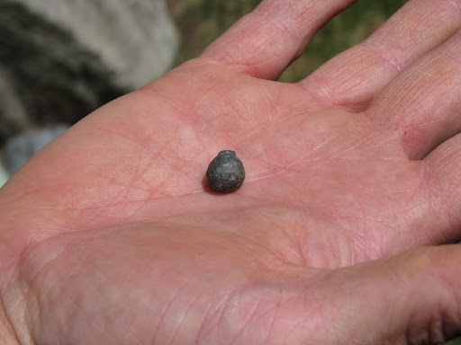 The Civil War era bullet that was unearthed two and a half feet down at the dig site.
(Photo credit: Jeremy Shreckhise)