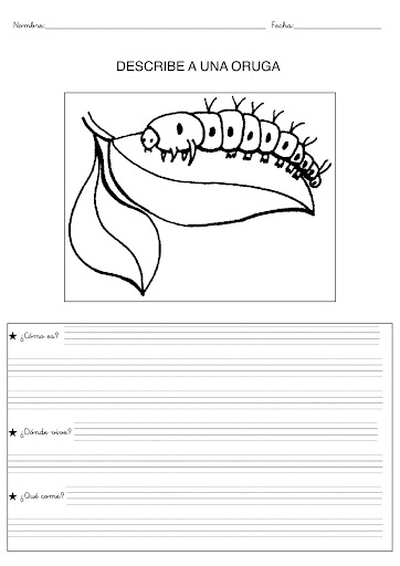 ORUGA
