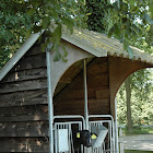 DSC_1925.JPG