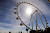 World's Tallest Ferris Wheel Opens in Las Vegas