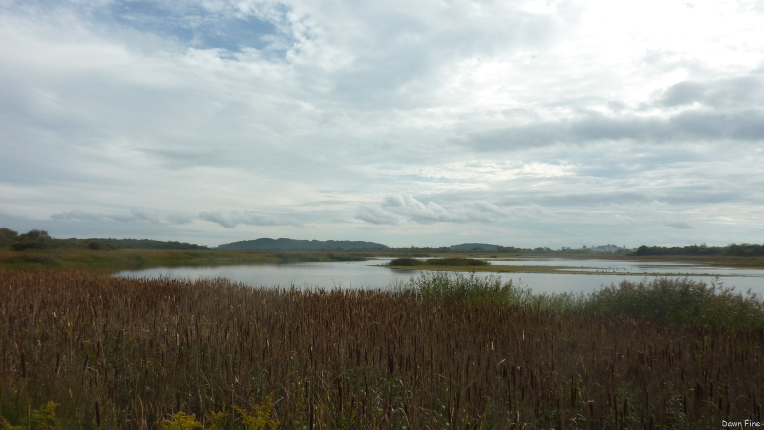 [Plum-Island_038-17.jpg]