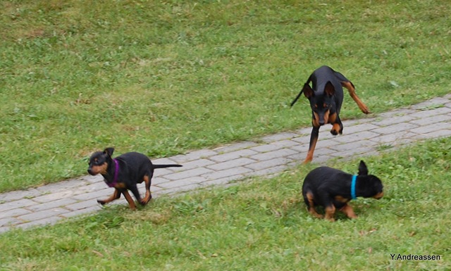 [DSC_7314%255B3%255D.jpg]