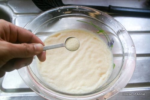 [sprinkling%2520gelatine%2520powder%2520on%2520soy%2520milk%255B2%255D.jpg]
