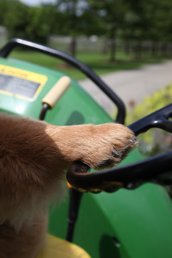 OK - Fire up the engine and off to the vegetable garden.