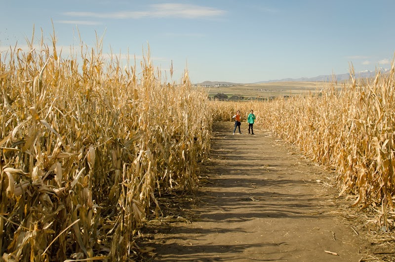 [Cornbelly%2527s-10%255B3%255D.jpg]