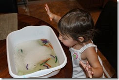 IMG_6121 IMG_6121