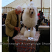 Pedigree Dogs 023.jpg