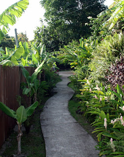 The path to our vila