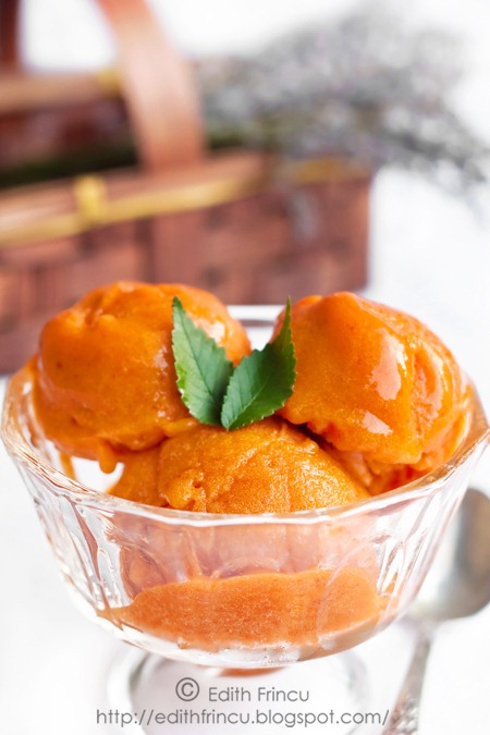 [sorbet-de-caise-15.jpg]