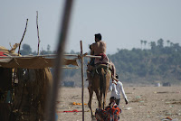 DSC05941.JPG