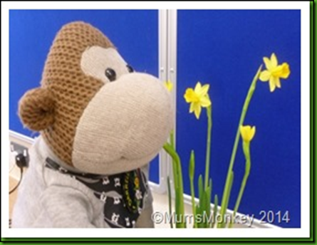 Picture33 Picture33