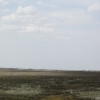 20080821-IMG_0140.jpg