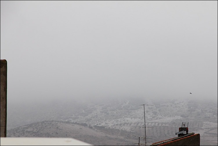 nevada nevada
