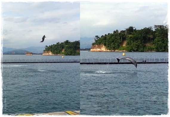 20130308_162032_18163-horz