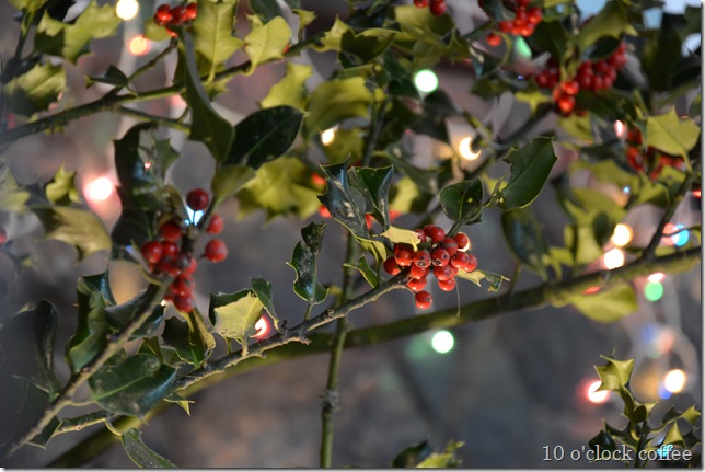 bokah lights