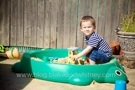 IMG_3942.jpg IMG 3942