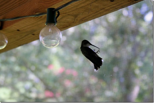 IMG_7866 IMG_7866