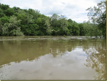 Shenandoah Flood 5-14 (3)