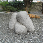 DSC01845.JPG
