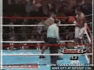 382553.gif