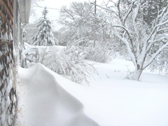 Blizzard 2.9.2013 taken from window front yard1