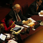 IMG_1650_1.jpg