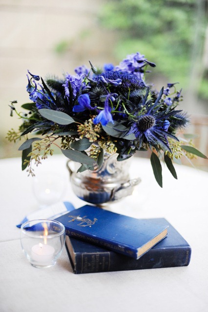 [book-holly-chapple-blue4.jpg]