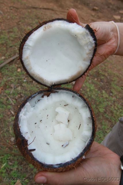 [IMG_0821%255B5%255D.jpg]