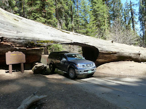Tunnel Log