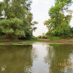 IMG_8214.JPG