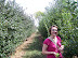 Picking Apples