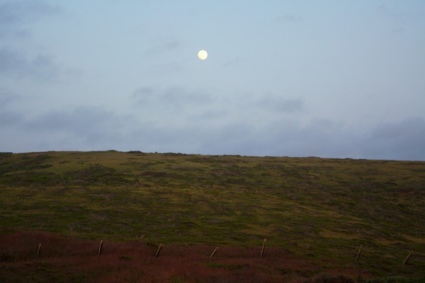 IMG_8185 IMG_8185